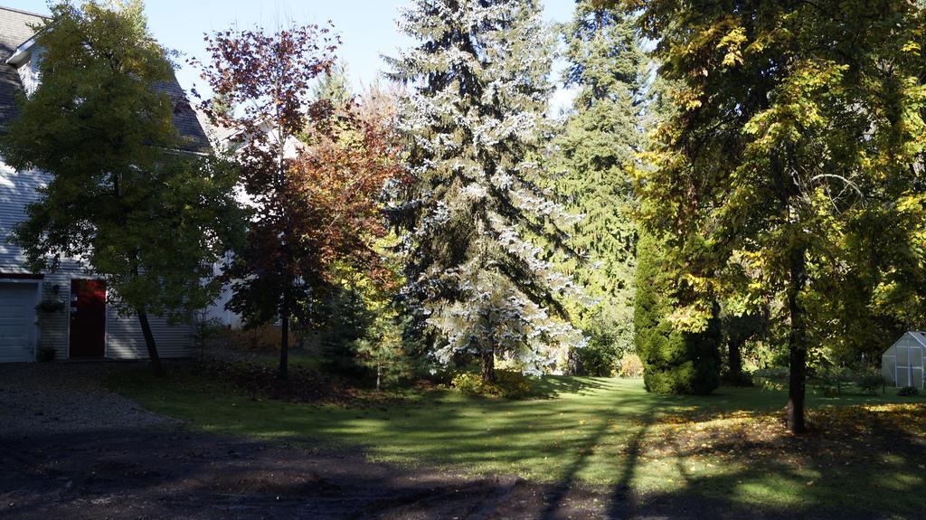 The Inn At The Ninth Hole Bed & Breakfast Salmon Arm Zewnętrze zdjęcie